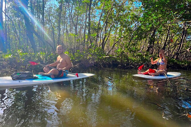 Self Guided Standup Paddle Board EcoTour -Bonita Springs - Discovering Bonita Springs by Paddleboard