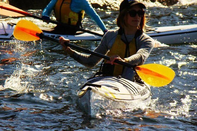 Self-Guided Sydney Middle Harbour Kayak 3 Hour Tour by Single Kayak - What to Expect from Your Kayaking Adventure