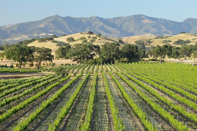 Self Guided Tour of Solvang and Santa Ynez Wine Country - A Closer Look at the Self-Guided E-Bike Tour