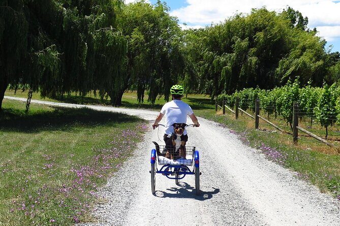 Self-Guided Wine Tours by Bike with Lorelle & Greg - An In-Depth Look at the Experience