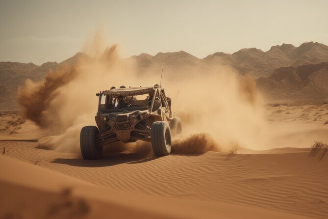 Self-Ride Polaris Desert Buggy Tour With Free Desert Safari - Final Thoughts