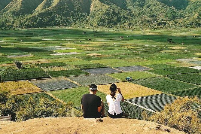 Sembalun Package.. (Special Rice Terrace View) - Introduction
