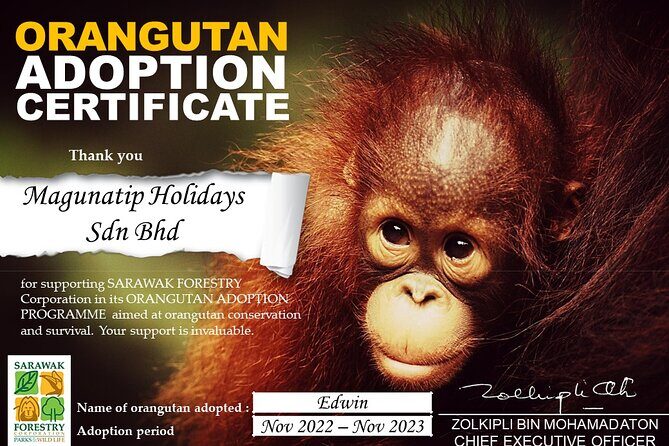 Semenggoh Orangutan Center & Sarawak Cultural Village - Final Thoughts: Is It Worth It?