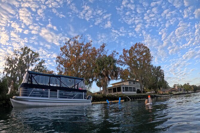 Semi Private Manatee Swim Tour - The Sum Up: Is It Worth It?