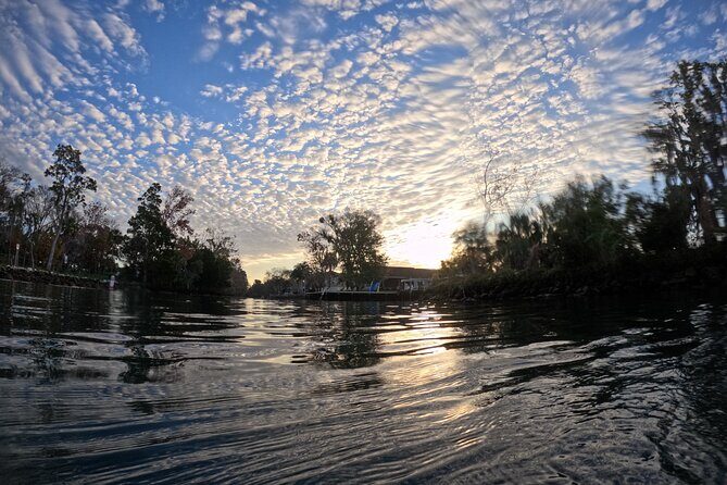Semi Private Manatee Swim Tour - FAQs