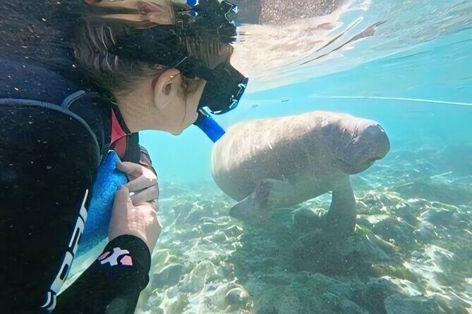 Semi-Private Manatee Swim Tour With In-Water Guide/Photographer - FAQ