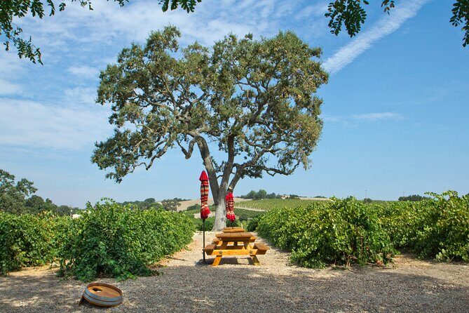 Semi-Private, Modified Hop-On Hop-Off Wine Tasting Tour from Morro and Cayucos - The Itinerary: A Deep Dive into Stops and Choices