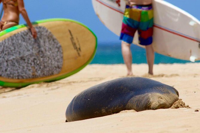 Semi-Private Surf Lesson - What Reviewers Say & Why It’s Valuable