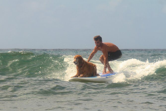 Semi-Private Surf Lesson - FAQs