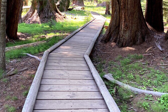 Semi Private Tour to Sequoia National Park with Lunch - Analyzing the Cost