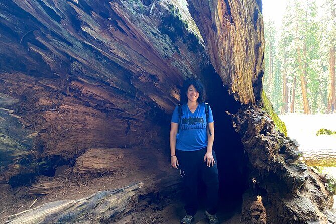 Semi Private Tour to Sequoia National Park with Lunch - Final Words