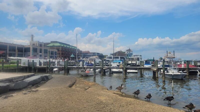 Semi-Private Walking Tour Old Town Alexandria & Carlyle - Who Will Love This Tour?