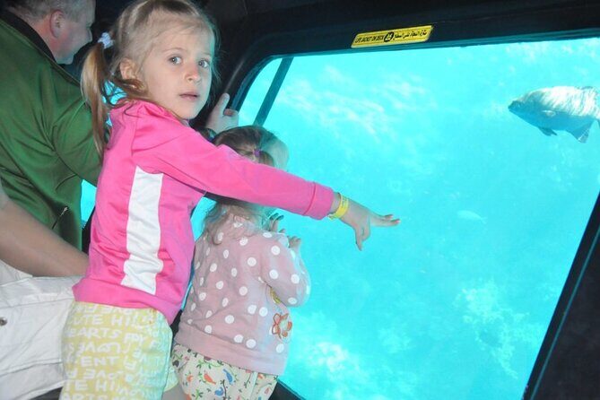 Semi Submarine Experience sea Trip With transfer from Sharm - The Itinerary Breakdown