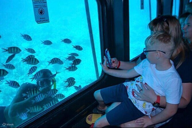 Semi Submarine Experience sea Trip With transfer from Sharm - The Sum Up: Is It Worth It?