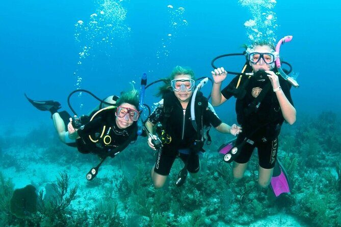 Semi Submarine Sea Trip and Parasailing & Turkish bath - Hurghada - How the Experience Flows