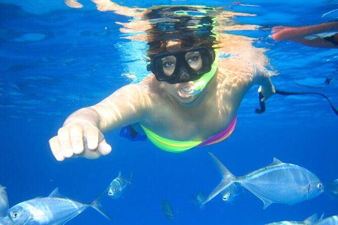 Semi-Submarine, Snorkeling Sea Trip With Transfer Hurghada - An In-Depth Look at the Experience