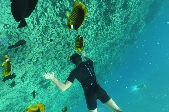 Semi-Submarine, Snorkeling Sea Trip With Transfer Hurghada - Semi-Submarine Ride: Close-Up Underwater Views