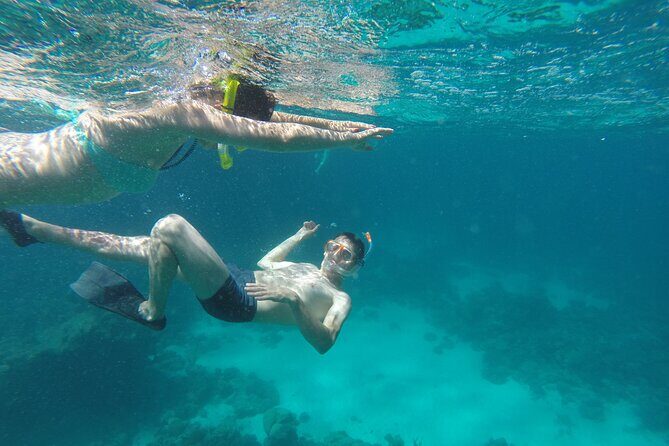 Semi-Submarine, Snorkeling Sea Trip With Transfer Hurghada - What’s Good and What’s Not So Good?