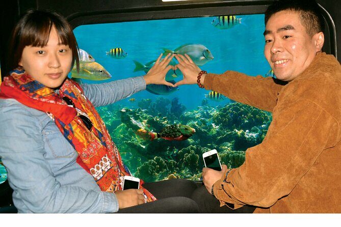Semi-Submarine, Snorkeling Sea Trip With Transfer Hurghada - Who Will Love This Tour?