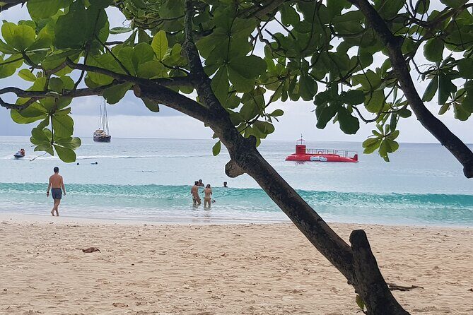 Semi Submarine Tour in Saint Anne Marine National Park - What Makes This Tour Special