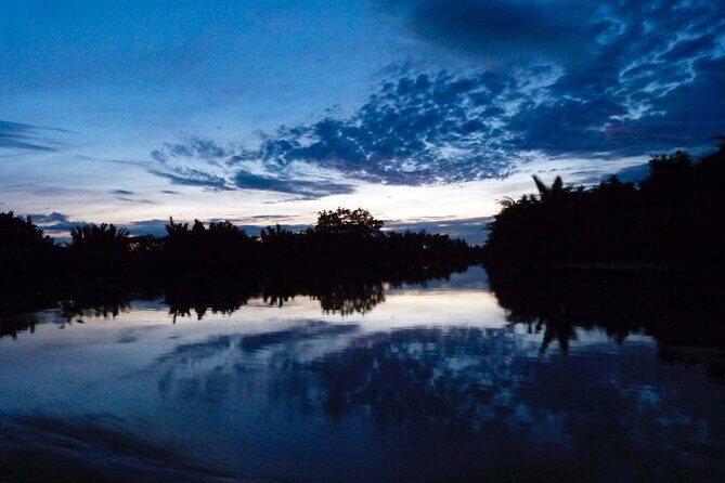 Semporna : Mangrove Cruise, Fireflies, Transfer & Dinner - Who Should Consider This Tour?