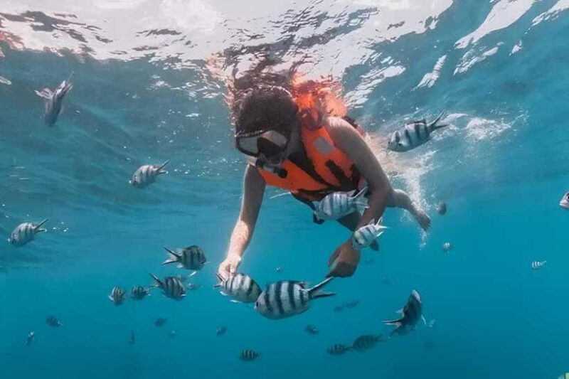 Semporna : Mataking Island Hopping with snorkel shared tour - What’s Included and Whats Not