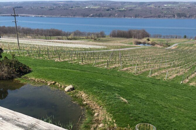 Seneca Lake South Wine Tastings Tour - Who Is This Tour Best For?