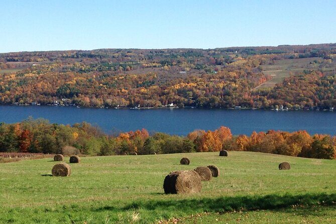 Seneca Lake Wine Tour - Customizable - Wrapping Up: Is It Worth It?