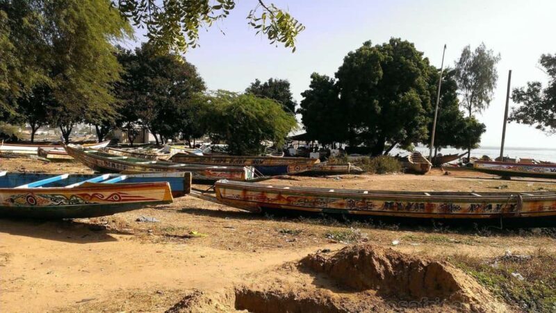 Senegal Discovery: Dakar, Goree Island & St Louis Tour - Key Points