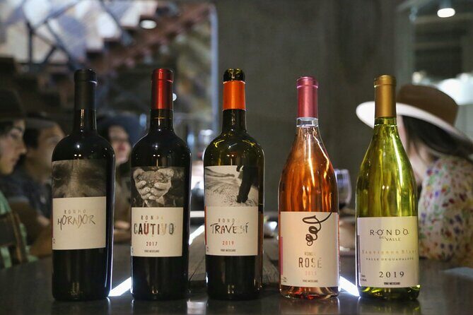 Sensory tasting - Final Thoughts: Who Should Consider This Tour?