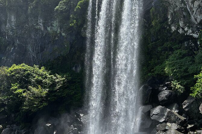 Seogwipo(the southern city of Jeju) Art Museum Walking Tour - Key Points
