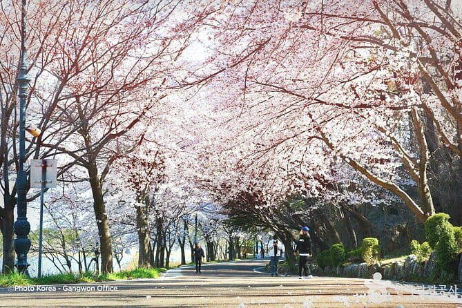 Seoraksan and Cherry Blossom Lake 1 day trip from Seoul - The Itinerary in Detail