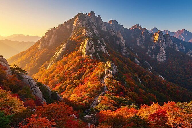 Seoraksan National Park and Goseong DMZ Observatory from sokcho - A Comprehensive Look at the Journey: What to Expect