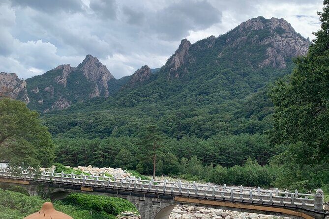 Seoraksan National Park and Goseong DMZ Observatory from sokcho - Authentic Experiences and Local Flavor