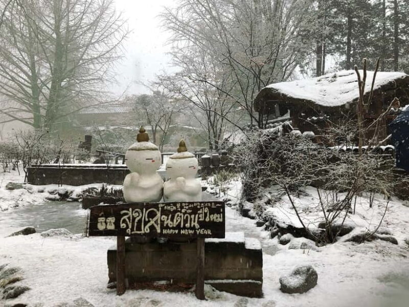 Seoul: Alpaca/Nami/Eobi(+RailBike, Strawberry optional) Tour - FAQ