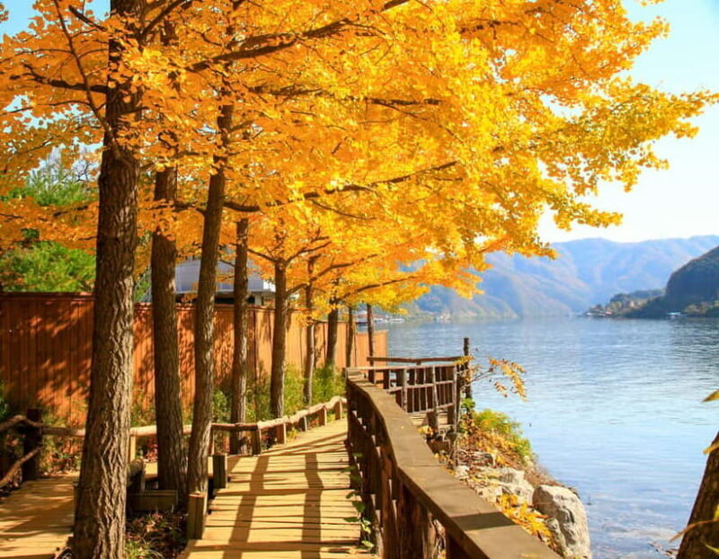 Seoul: Alpaca World & Nami Island (opt. Gangchon Railbike) - Key Points