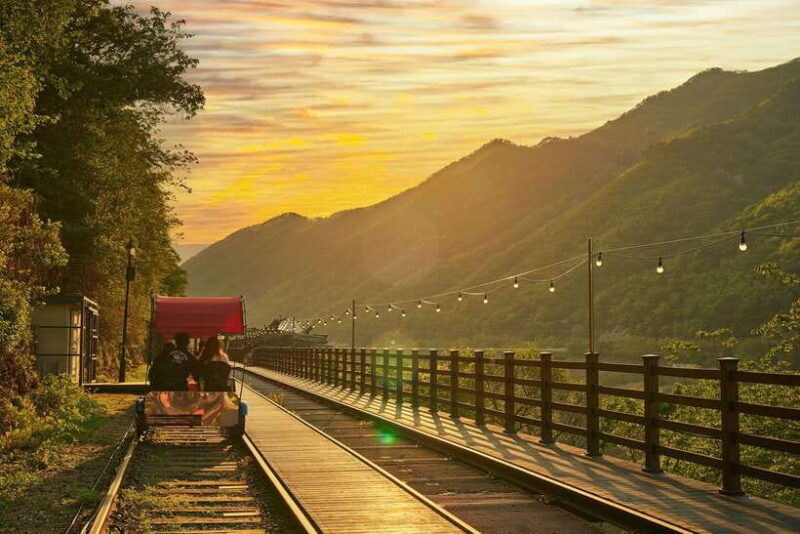 Seoul: Alpaca World & Nami Island (opt. Gangchon Railbike) - Who Will Appreciate This Tour?
