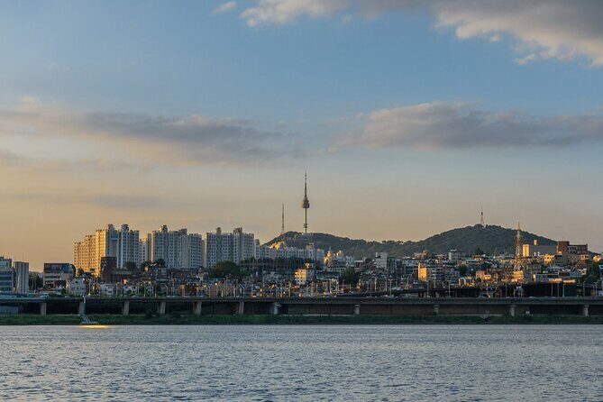 Seoul Cherry Blossom and Hanok Experience Private Car Tour - Who Will Love This Tour?