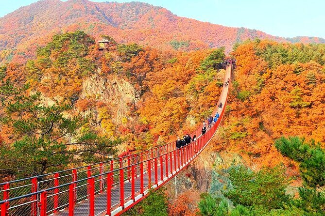 Seoul City Highlights Tour: Hanok Village, Scenic Routes - Key Points