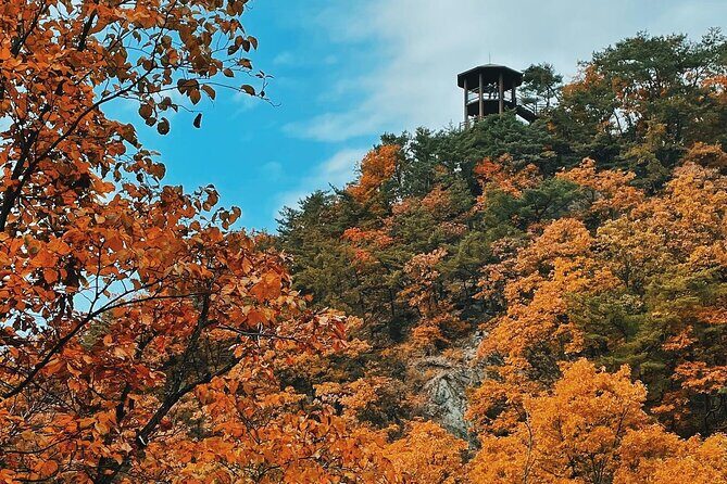 Seoul City Highlights Tour: Hanok Village, Scenic Routes - An In-Depth Look at the Itinerary