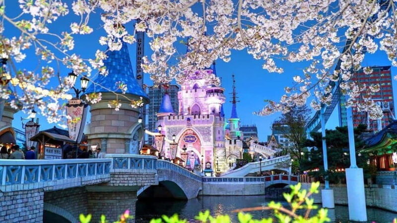 Seoul: City or Suburbs Private Chartered Car Tour for 10HR - FAQ