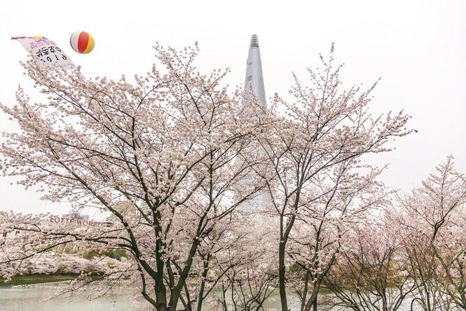 Seoul City Tour - Free Photo Service - An In-Depth Look at the Seoul City Tour