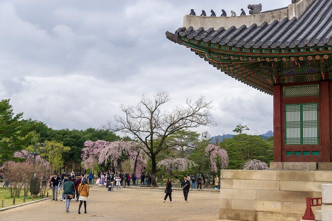 Seoul City Tour - Free Photo Service - Final Thoughts