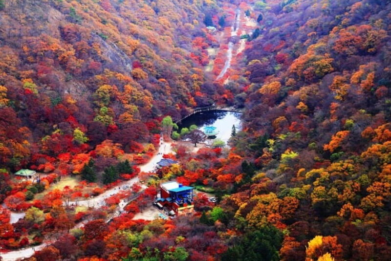 Seoul: Classic Naejangsan National Park Shuttle Bus - Key Points