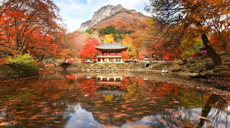 Seoul: Classic Naejangsan National Park Shuttle Bus - What is Naejangsan National Park and Why Should You Visit?