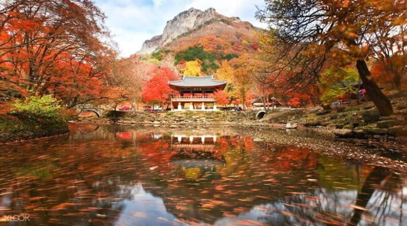 Seoul: Classic Naejangsan National Park Shuttle Bus - The Experience: What Travelers Are Saying