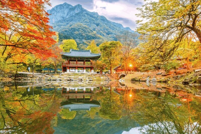 Seoul: Classic Naejangsan National Park Shuttle Bus - The Practical Side: Logistics and Tips