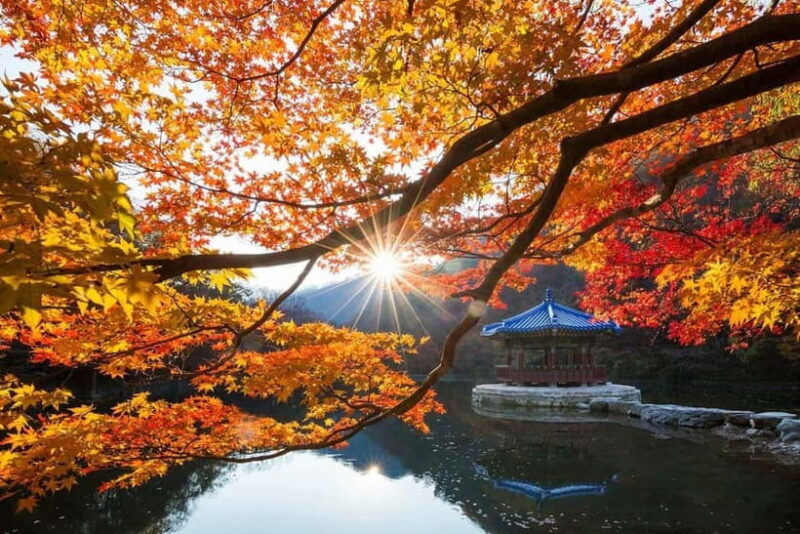 Seoul: Classic Naejangsan National Park Shuttle Bus - Who Would Love This Tour?