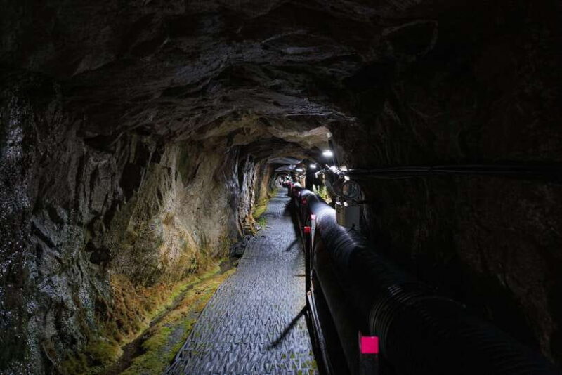 Seoul: DMZ 2nd Tunnel and Suspension Bridge Tour - The Scenic Walk and Suspension Bridge