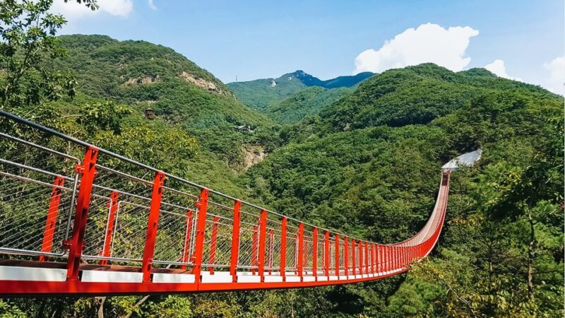 Seoul: DMZ, 3rd Tunnel and Optional Suspension Bridge Tour - Key Points